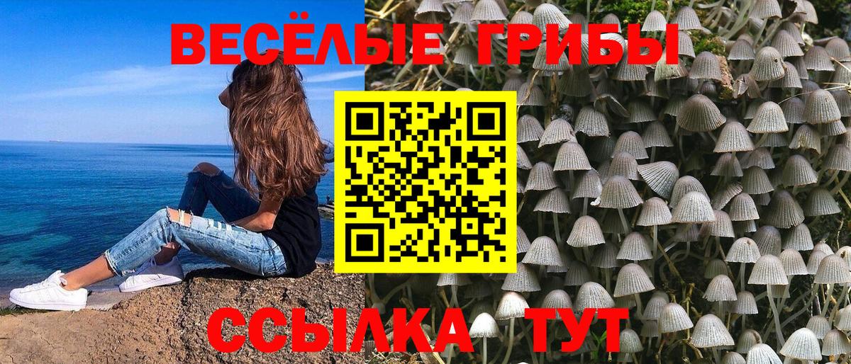 купить   Вход с VPN  Коряжма  Галлюциногенные грибы прущие грибы 